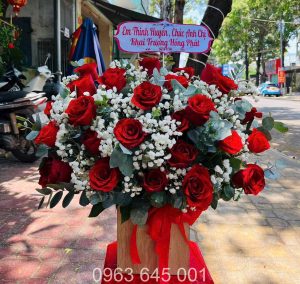 Shop Hoa Tươi Quận Phú Nhuận - Hoa Bình An